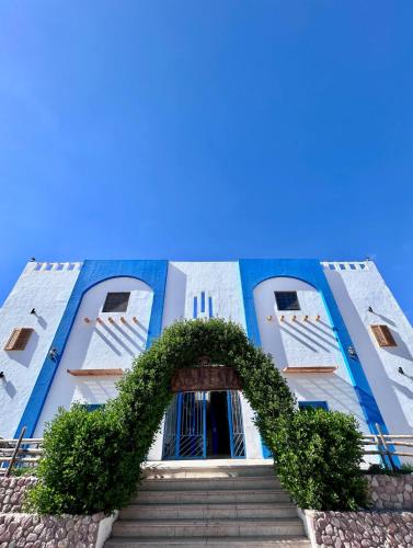 Amnesia Residence, Sharm el-Sheikh