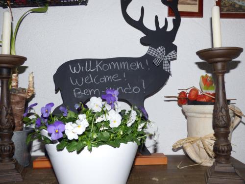 卡萨菲森酒店 卡萨菲森酒店