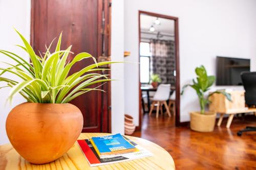 One-Bedroom Apartment image 3
