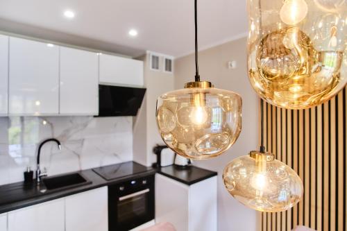 Cozinha, Cozy Apartment with Garden - Free Private Parking Gdańsk (Cozy Apartment with Garden - Free Private Parking Gdansk) in Borkowo Lostowickie