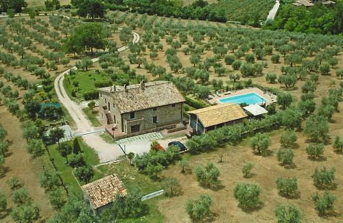 Villa Rosy