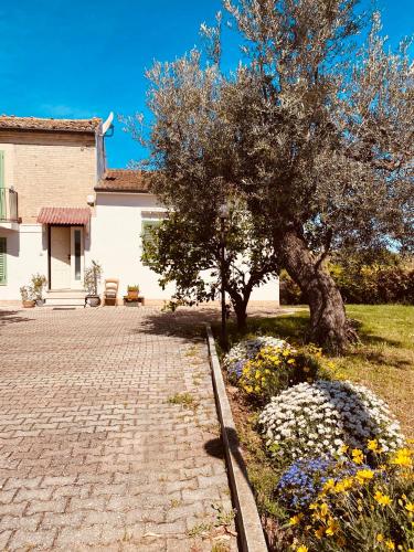  B&B Alive Abruzzo, DOG FRIENDLY in Pollutri