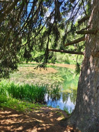 Ferienwohnung Familie Pichler, 8820 Neumarkt in Steiermark