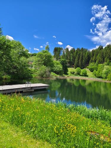 Ferienwohnung Familie Pichler in Neumarkt in Steiermark
