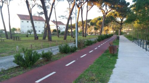 Quinta da Casinha Homestay