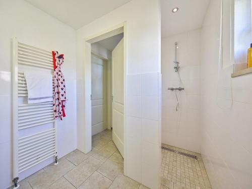 Spledid villa with sauna and whirlpool in Limburg - image 4