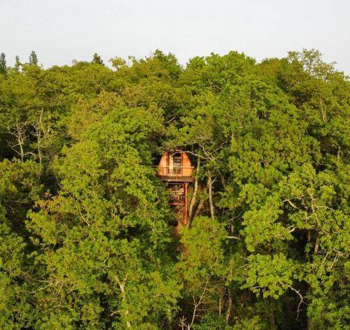 La cabane entre les cimes gîte à louer Bragayrac