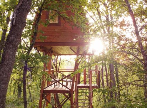 La cabane entre les cimes in Mones