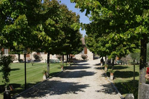 Agriturismo Il Falco - image 14