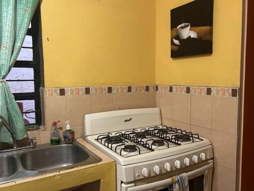 Three-Bedroom House image 8