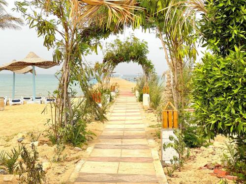 شاليه بقريه أميرة لاسرينا باي, Ras Sedr (fotografie 7)