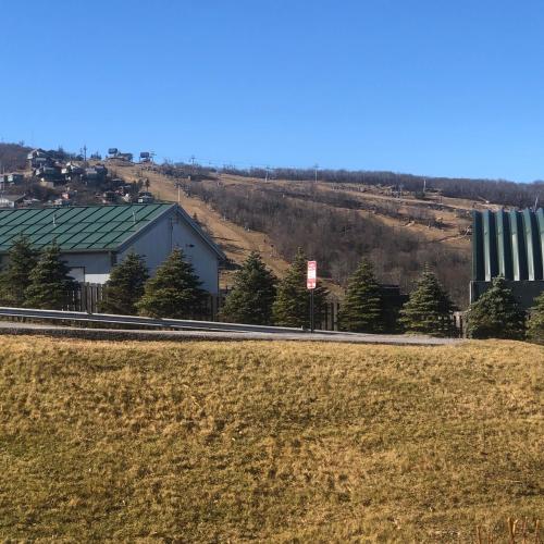 Beechview Condo, Beech Mountain (foto 4)