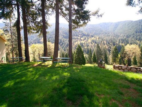 Dunsmuir Lodge - image 10