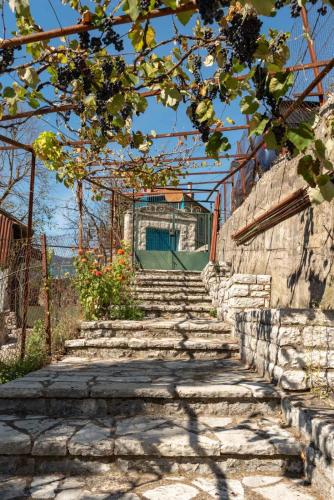 Μορχέλα, ολόκληρο σπίτι! (Μορχελα, ολοκληρο σπιτι!) in Megalo Chorio