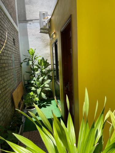 Ốc Homestay Cát Bà