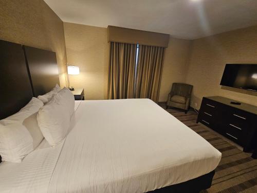 Best Western Pasadena Royale Inn & Suites - image 14