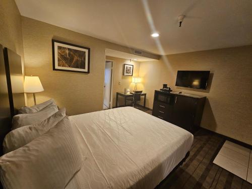 Best Western Pasadena Royale Inn & Suites - image 12