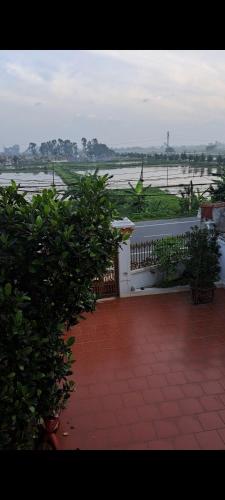 GolDen RiCe in Tien Lang Bezirk