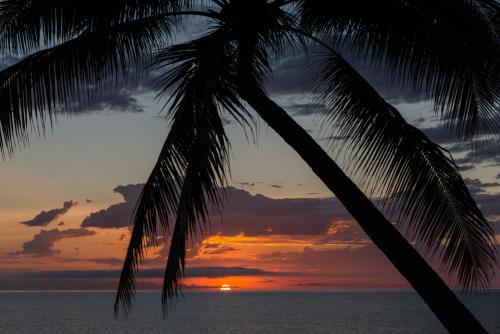 Thala Beach Nature Reserve