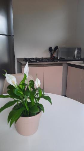 Apartamento de dois quartos centro de Pomerode in ริเบย์เราอาเรยา