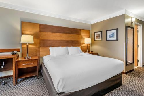 Comfort Inn & Suites Durango - image 3