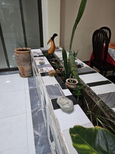 สวน, Big Tusks Hotel, Marsabit in มาร์ซาบิต