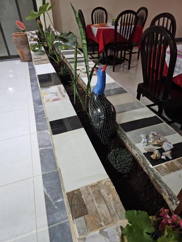 สวน, Big Tusks Hotel, Marsabit in มาร์ซาบิต