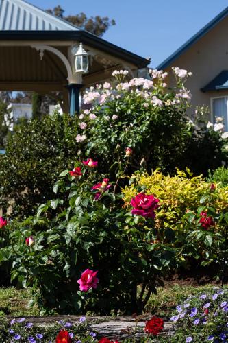 Willows Motel Willows Motel