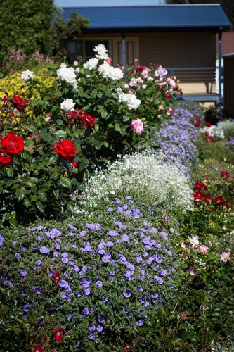 Willows Motel Willows Motel