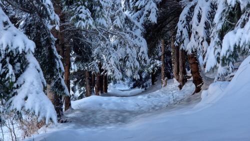 Sport und Aktivitäten, Ski Deki in Pale