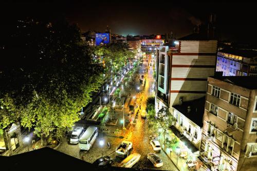 Usta Park Hotel - image 5