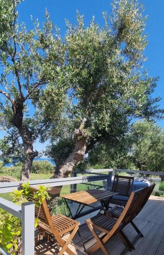 Olive Frame, Zakynthos (fotografie 3)