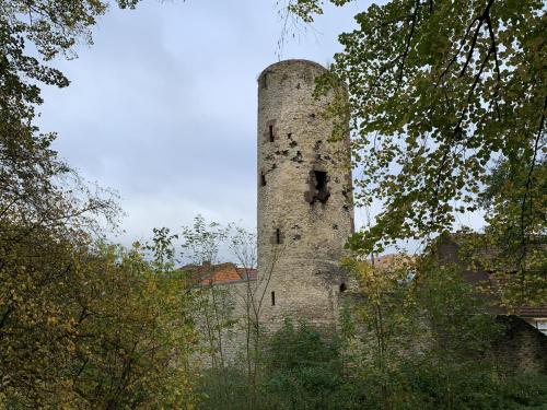 Ferienwohnung Weitblick - image 12