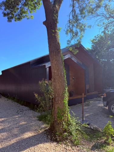 One-Bedroom House image 4