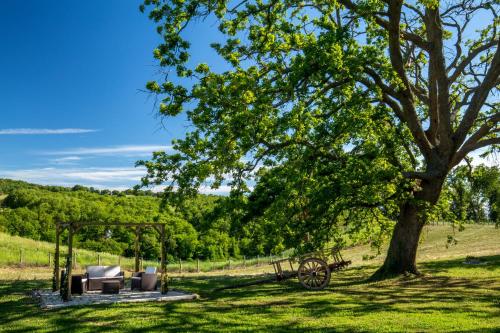 B&B Borgo Vera - image 9