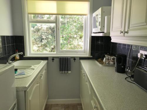 Quiet, Countryside Retreat, Spreacombe Gardens near Woolacombe, Braunton (fotografie 8)