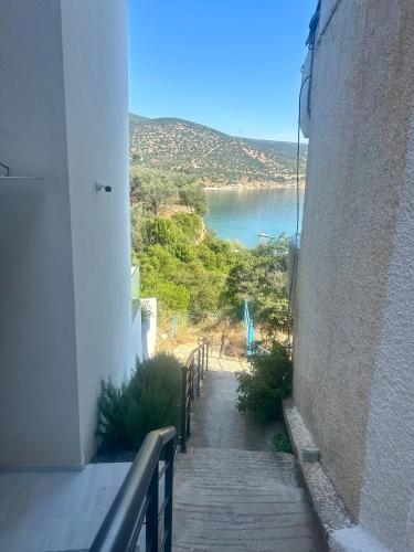 สภาพแวดล้อมโดยรอบ, Apartment Xenia in ชาเนีย