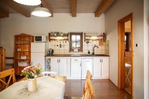 virtuve, Selsky Dvur- apartmany a keramicka dilna in Kajov