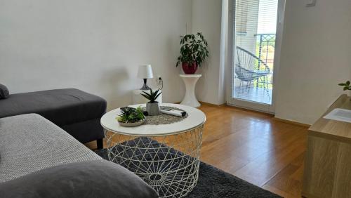 Casa Danubia in 大格拉迪斯泰