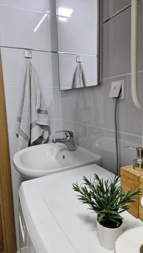 Casa Danubia in 大格拉迪斯泰