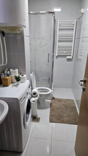 Casa Danubia in 大格拉迪斯泰