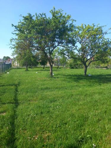 Kilátás, Maison charmante à Chepy avec jardin et piste de pétanque (Maison charmante a Chepy avec jardin et piste de petanque) in Saint-Germain-La-Ville