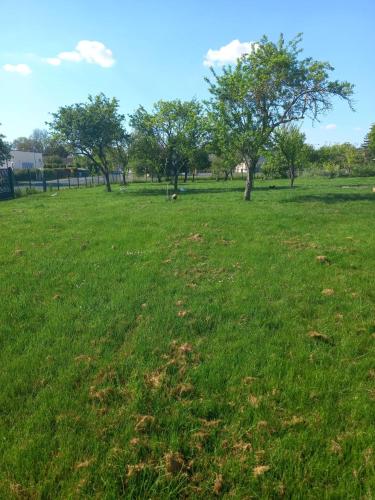 Maison charmante à Chepy avec jardin et piste de pétanque (Maison charmante a Chepy avec jardin et piste de petanque) in Saint-Germain-La-Ville