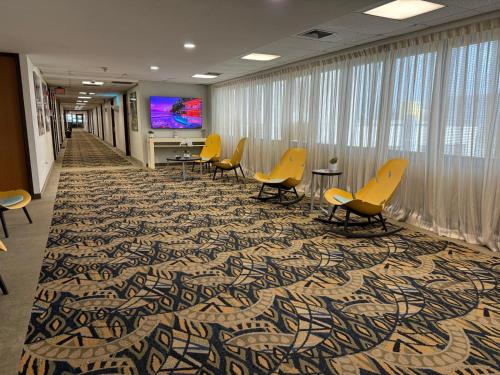 Előcsarnok, Ficus Hotel in San Juan