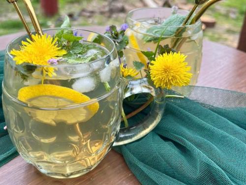 Krondorf and Spa Theodor in 帕斯達