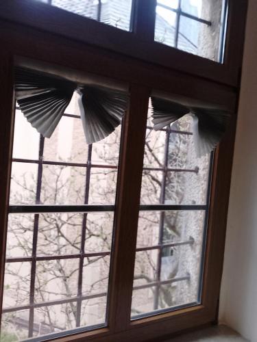 Vista exterior, Zum Ritter Ferienwhg in Lengenfeld