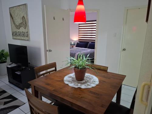 Tropical Palm Retreat in 威廉斯塔德市中心