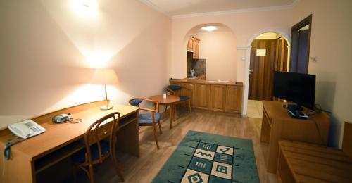 Hotel Pannonia - image 3