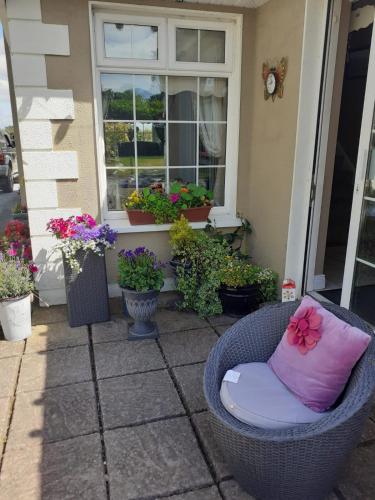 Seven Stars B&B in Killenard