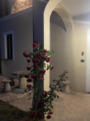 La Residenza del Vescovo 3